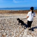 소풍게스트하우스&레드썬셋펜션 이미지