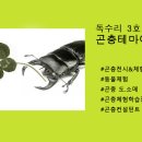 이벤트팜