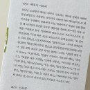 빨강나무