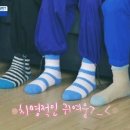 발꼬랑 이미지