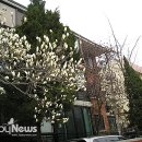 목련약국 이미지