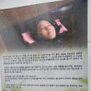 엘리스효소찜질