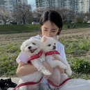 하나네 | 2월과 3월 일상 모음