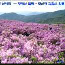산빛화원