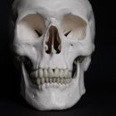 세상모든사랑니치과의원 이미지