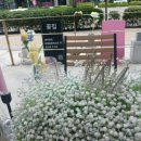 유어플로리스트