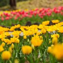 산야산업 이미지