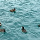 퀸스타운의원 이미지