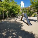 대전서원초등학교 | #모래소독#키제코/ 대전 서원초등학교 모래소독 : 3491번째 후기