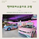 라즈베리모터스 | 현대자동차 티니핑 현대 모터스튜디오 고양 무료 전시 카페 주차 후기