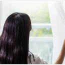 디자인H커튼 이미지