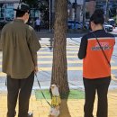 댕댕이루 이미지