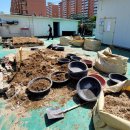 주례3동 행정복지센터 이미지