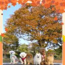 (주)스타몽 이미지