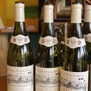 드다니엘(de Daniel) 이미지