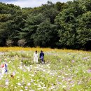 상림화원 이미지