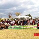 가정축산 이미지