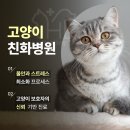 힐링동물병원 &  건강검진센터 이미지