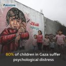 팔레스타인가자 지구 어린이의 80%가 심리적 고통을 겪고 있습니다. 이미지
