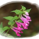 기계봉좌마을 이미지