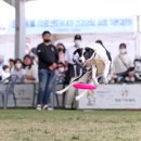 오수의견관광지 이미지