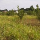 성상1리마을회관 이미지