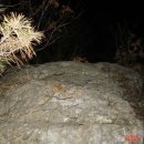 빛마루농장 이미지