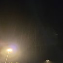선경이용 Daum카페