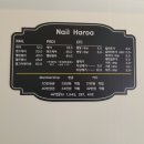 네일하로아 이미지