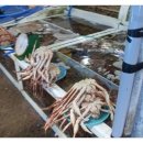 현수네회수산 - 422888 | 현수네회수산