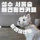 봉황3길 20 도로변 | 성수 서울숲 애견동반 카페 이리데센트 (위치, 메뉴, 가격, 깻잎스무디 찐후기)