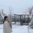 주식회사 비엔비 이미지