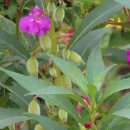 하트커피 이미지