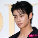 차은우 탈세 의혹