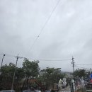 아구대장 | [여행후기] 4월초 파라스파라 프리미어 팀버 스위트 1박2일 가족여행