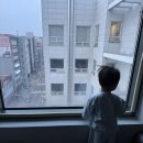 아이원약국 | 17개월 아기 폐렴 입원 찐 후기- 광명 소하동 아이원병원