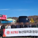 안동청과 | 안동청과합자회사 견학후기