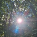 전주류씨 시사재 이미지