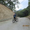 섬강농장 이미지