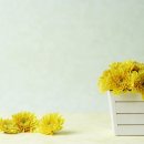 기지유치원 이미지