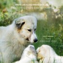 영제농장 이미지