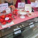 위시존개러지전주점 | [김제축제] 2026 김제 꽃빛드리축제 "전주근교 벚꽃구경 가볼만한곳"