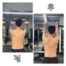 펄슨피티 이미지