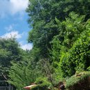 휴&휴 펜션 이미지