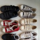 자이1차세탁 이미지