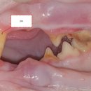 금호동물병원 이미지