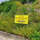 마리태양광발전소 이미지