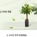 남현동-44 이미지