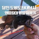 와따낚시 | 당진 도비도 좌대낚시터 와따좌대낚시 추천 평일 방류 가격 이용 시간 정리