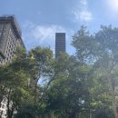 탑메디슨코리아 이미지